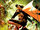 Robin Vol 3 15 Textless Di Meo Variant.jpg