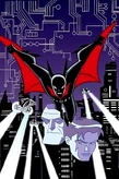 Terry McGinnis DCAU Batman Beyond