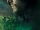 Arrow Season 2.5 Vol 1 7 Textless.jpg