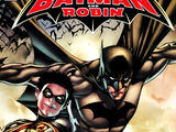 Bruce Wayne: The Road Home: Batman and Robin Vol 1 1