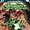 Green Lanterns Vol 1 15