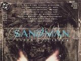 Sandman Vol 2 27