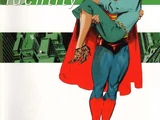 Superman: Secret Identity Vol 1 2