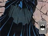 Batman Vol 1 433