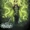 Enchantress (Prime Earth)