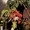 Poison Ivy/Swamp Thing: Feral Trees Vol 1 1