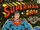 Superman Vol 1 300
