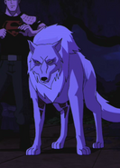 Wolf Earth-16 Young Justice