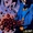 Animal Man Vol 1 47