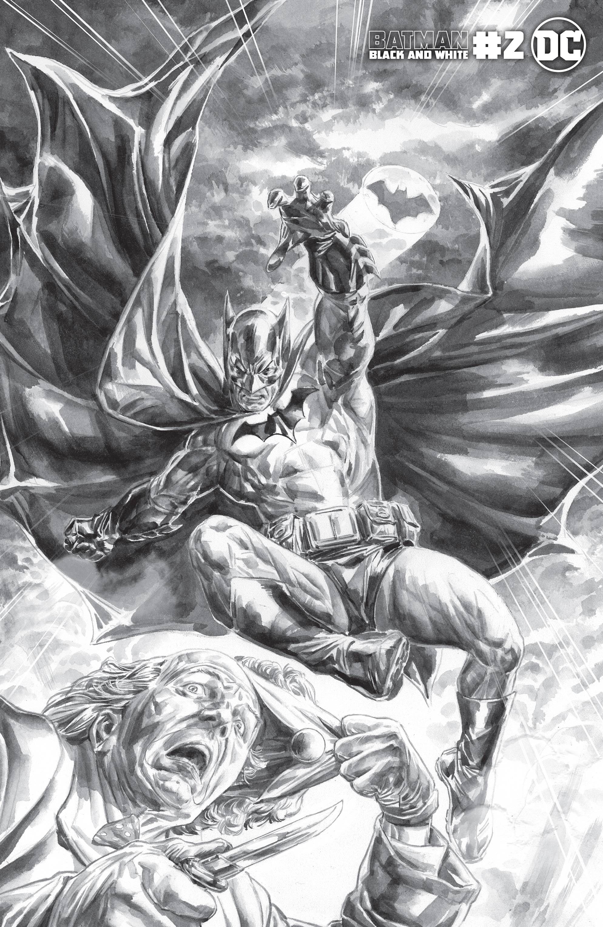 Batman: Black and White Vol 2 2 | DC Database | Fandom