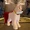 Krypto (Lego Batman)