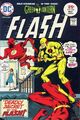 The Flash Vol 1 233