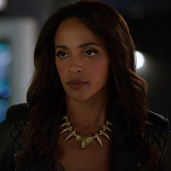 Vixen Star Megalyn Evhikunwoke on Flash Crossover and More