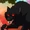 Big Bad Wolf (Harley Quinn TV Series)