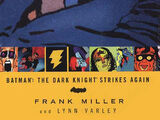 Batman: The Dark Knight Strikes Again (Collected)