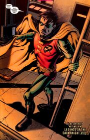 Robin Tim Drake 0028