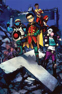 Teen Titans Prime Earth (other versions)