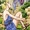 Alethea (The True Amazon)