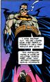 Bruce Wayne 057