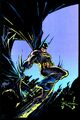 Batman 0529