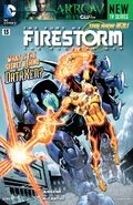 Fury Of Firestorm Vol 1 13