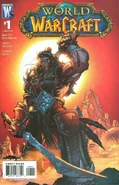 World of Warcraft Vol 1 1