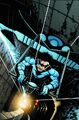 Nightwing 0019