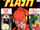 The Flash Vol 1 260.jpg