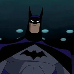 Bruce Wayne (DCAU)
