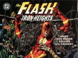 The Flash: Iron Heights