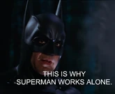 Kal-El Burtonverse Batman and Robin