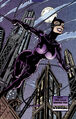 Catwoman 0121