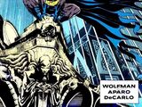 Batman Vol 1 444