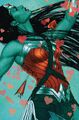 Wonder Woman Vol 5 70 Textless Variant