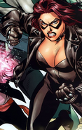 Midnight Rider Wildstorm Universe Paladins