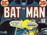 Batman Vol 1 249