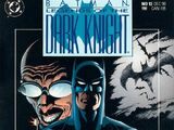 Batman: Legends of the Dark Knight Vol 1 13