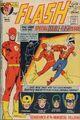 The Flash Vol 1 213