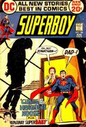 Superboy Vol 1 189