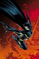 Batgirl Huntress 0003
