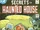 Secrets of Haunted House Vol 1 21