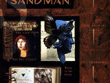 Sandman Vol 2 41