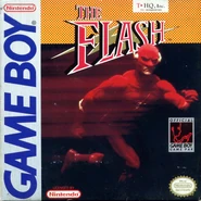 The Flash 1991 Video Game
