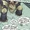 Buzz Dixon (Wildstorm Universe)