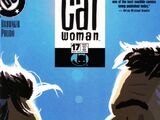 Catwoman Vol 3 17