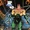 NewMazo (Prime Earth)