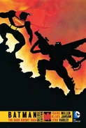 Batman: The Dark Knight Saga Deluxe Edition (Collected)
