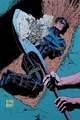 Nightwing 0058