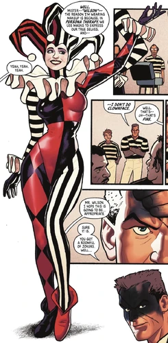 JERZEES × DC Comics Harley Quinn ハーレイクイン JERZEES × DC Comics Harley Quinn ハーレイクイン