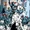 Giant Dalmatians